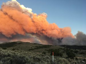 Photo of a smoke plume rising forma fire on the horizon