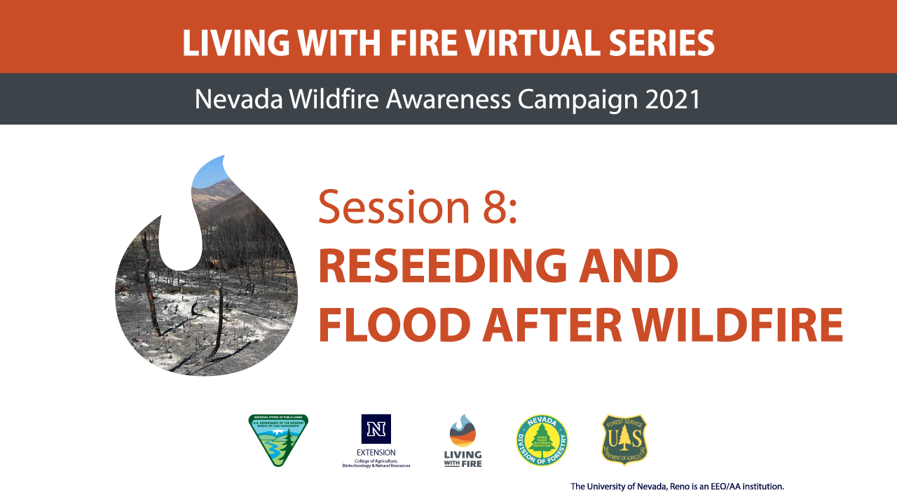 Reseeding and Flood After Wildfire | Living With Fire