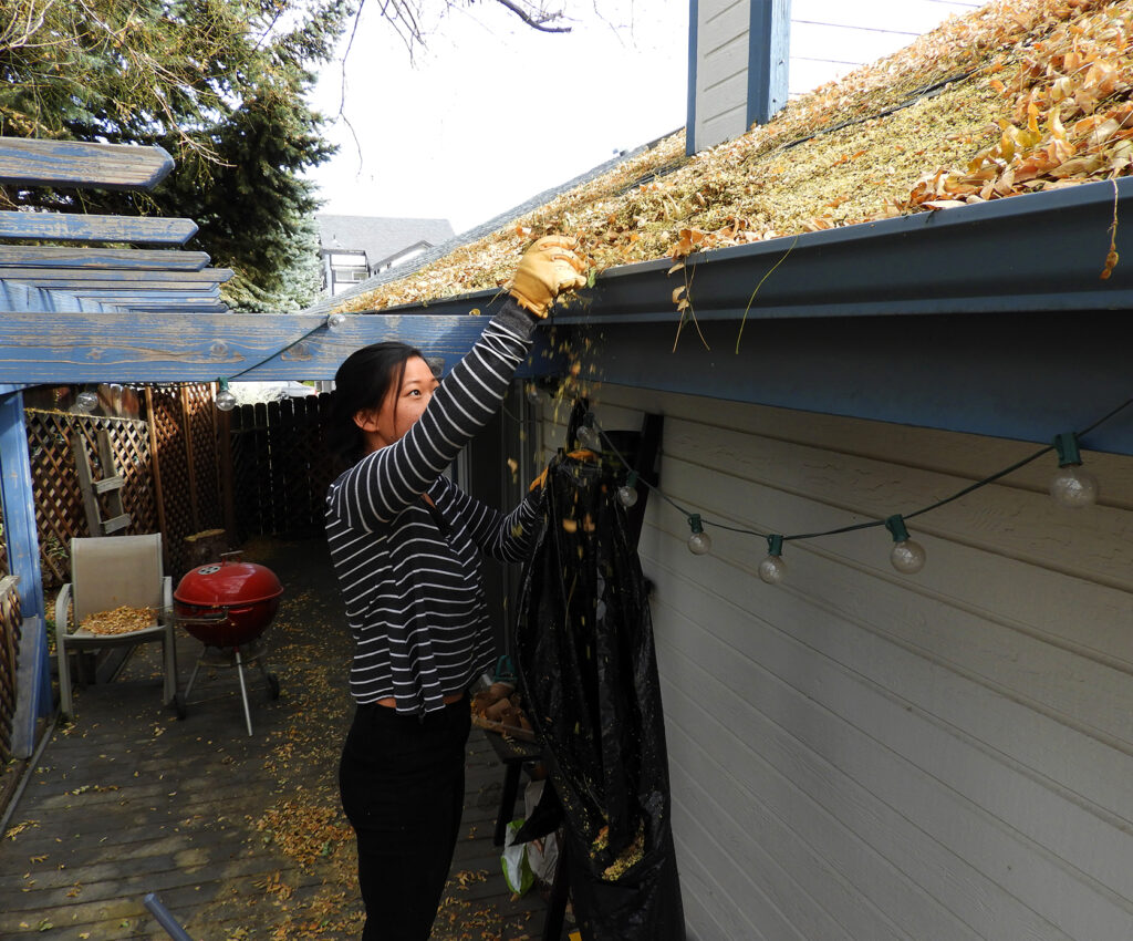 Lauren Cleaning Gutter