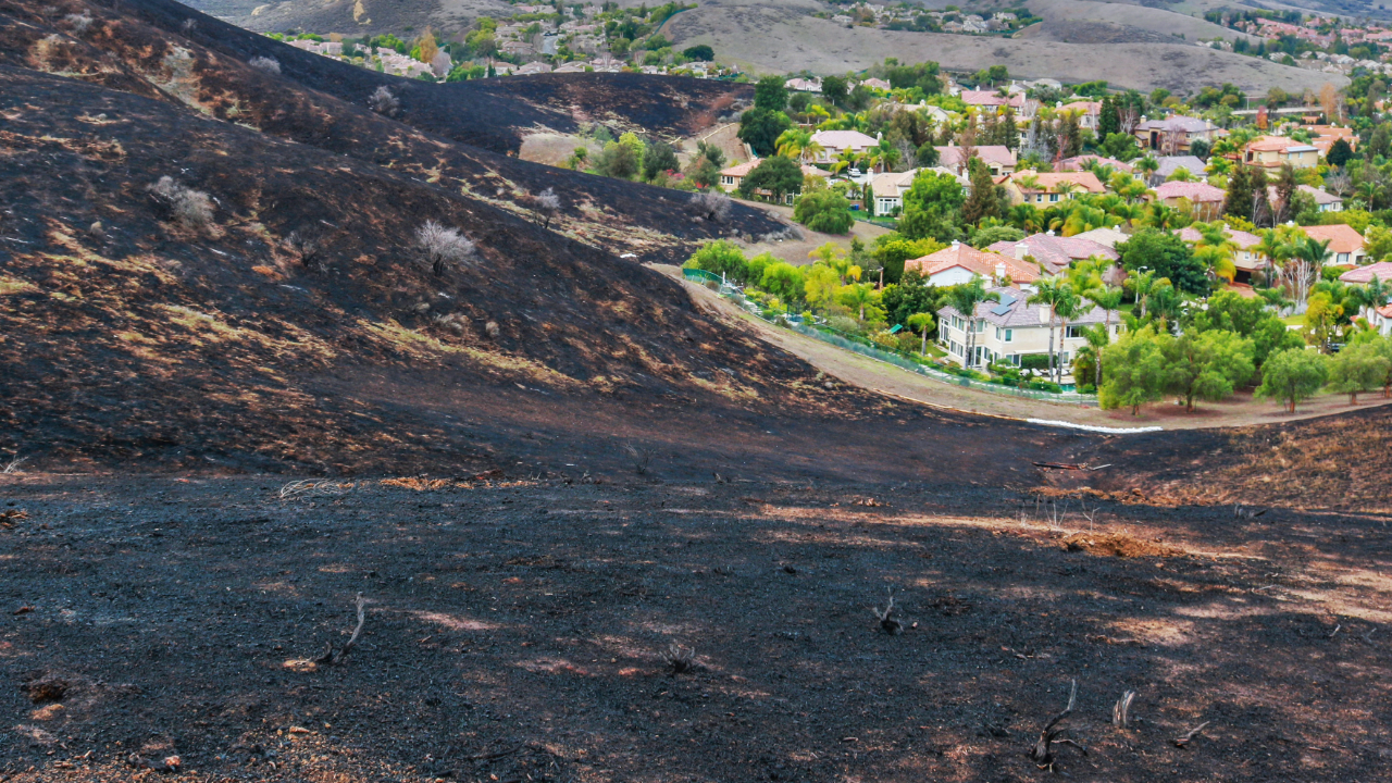 Fire Scar Near Neighborhood