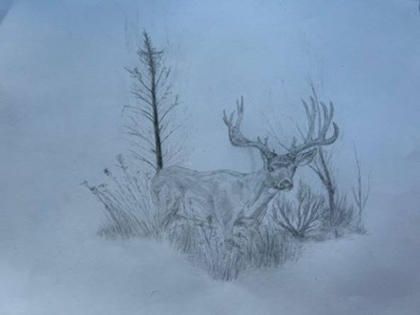 Drawing of a deer in the woods