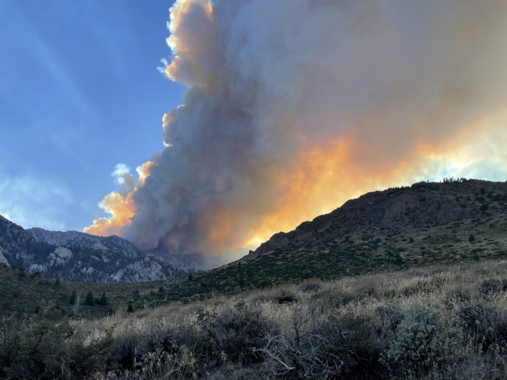 Smoke rising from a wildfire on a mountain slope in a sagebrush rangeland
