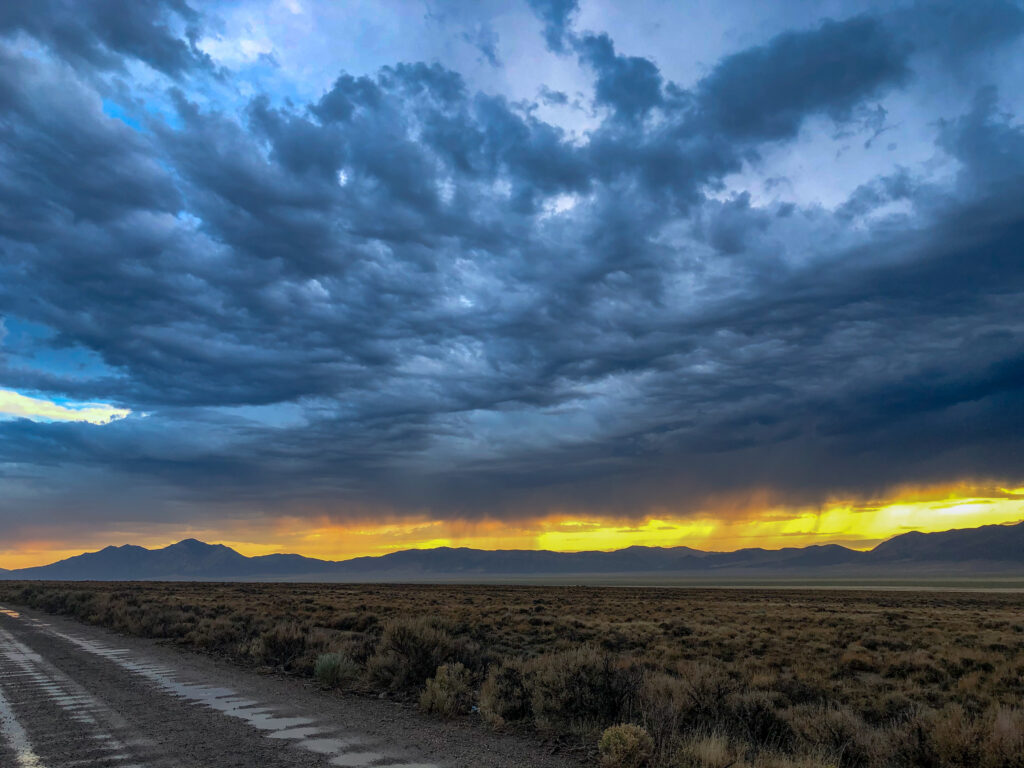 50256837397 5c93b7f1d2 o