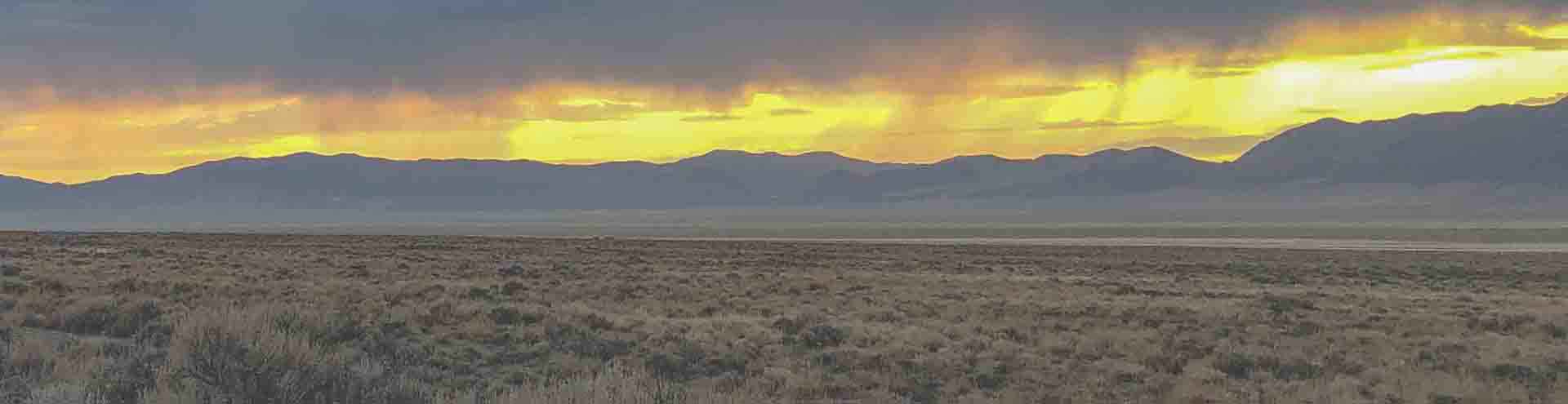 50256837397 5c93b7f1d2 o crop1v2.jpg