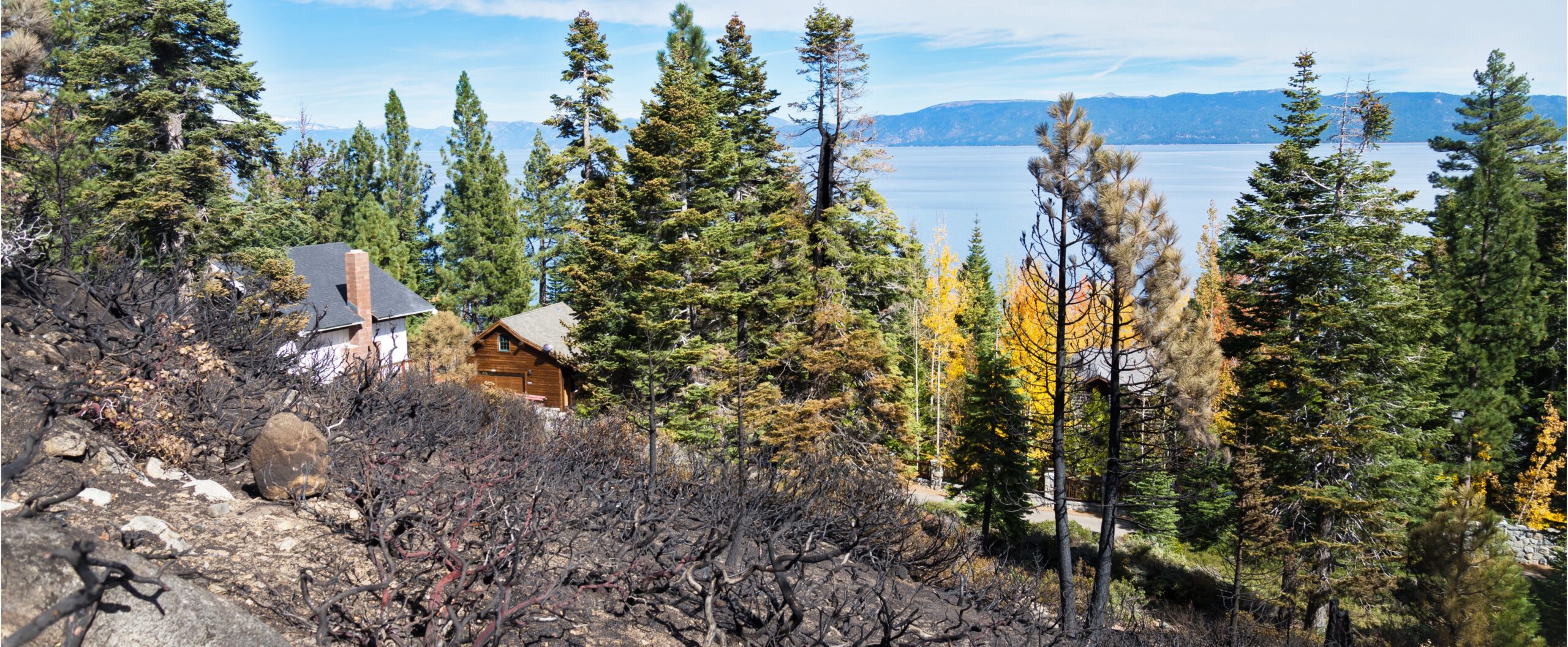 NPS 7036 edit for banner