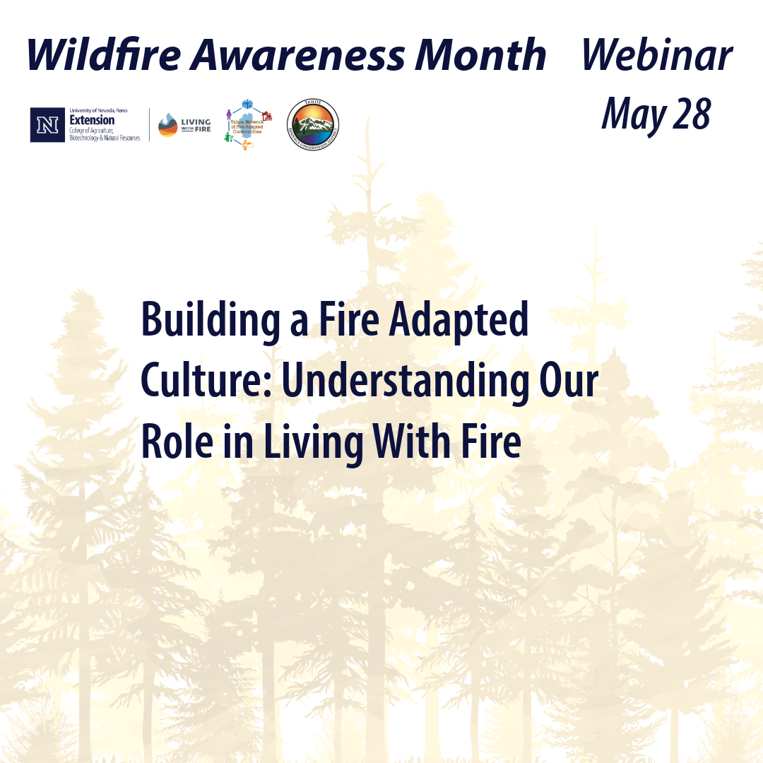 FAC Culture Webinar FB I