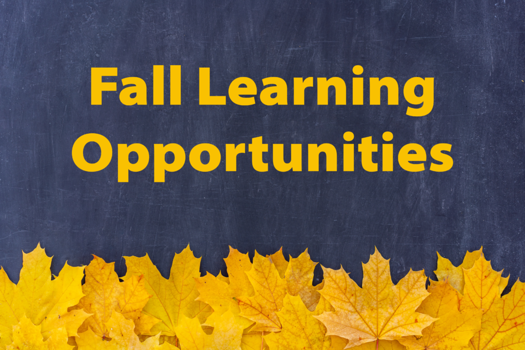 Black board with yellow fall leaves at the bottom and text that says Fall Learning Opportunities.