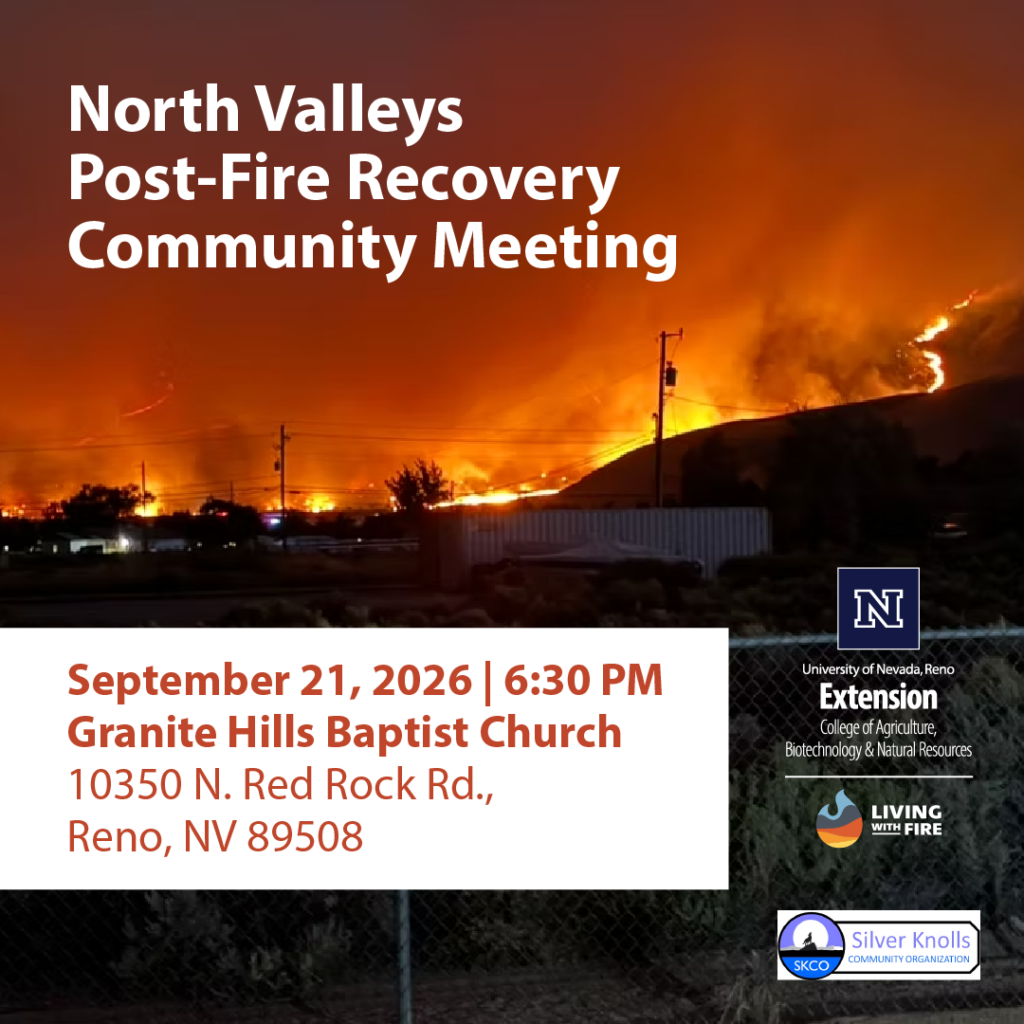 Photo of fire on a hill with text that reads, Silver Knolls Post-Fire Recovery Community Meeting Photo of fire on a hill with text that reads, Silver Knolls Post-Fire Recovery Community Meeting
